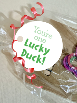 You're One Lucky Duck St. Patrick's Day Fun Pack Kids Gift