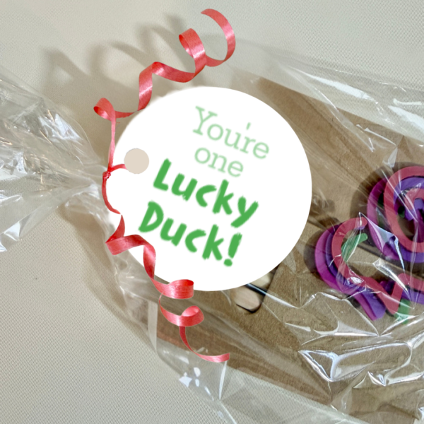 You're One Lucky Duck St. Patrick's Day Fun Pack Kids Gift
